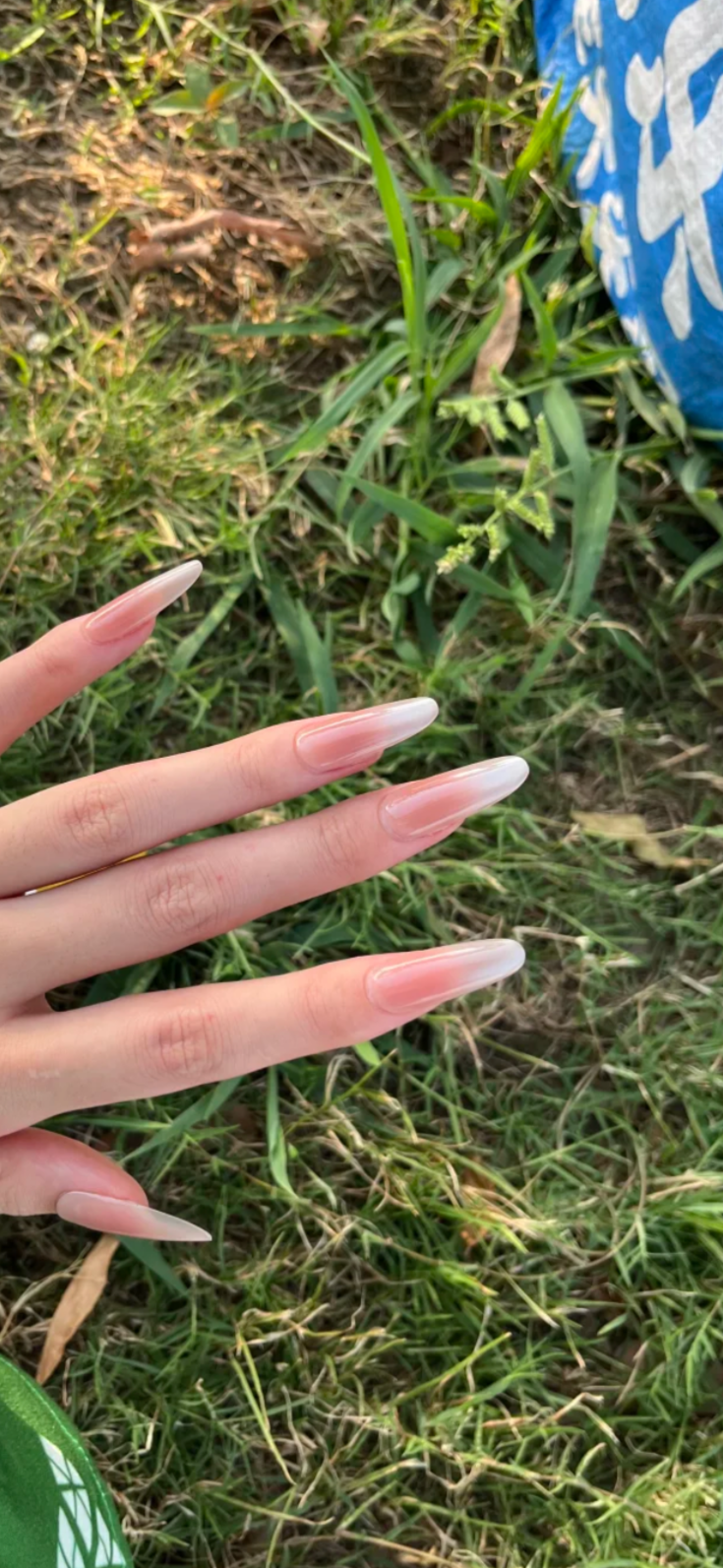 High-Shine Cat Eye Press-On Nails